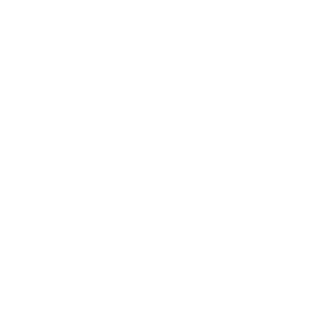 Digital Disruptor
